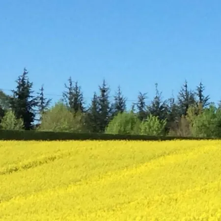 בית נופש La Maison Du Bonheur *