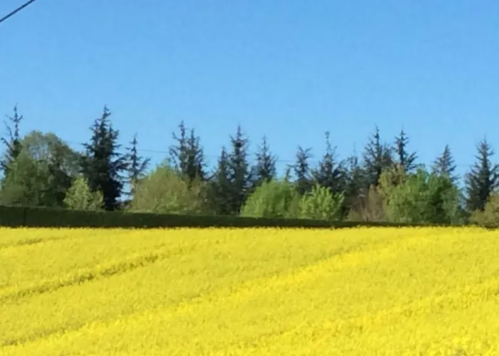 Dom wakacyjny La Maison Du Bonheur *