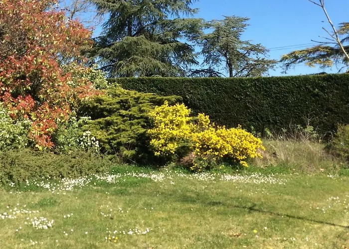 La Maison Du Bonheur Dondas